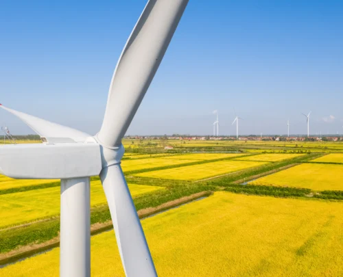 wind-turbine-closeup-in-autumn-paddy-field-2025-01-29-07-38-20-utc