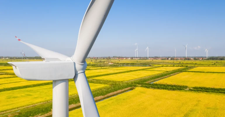 wind-turbine-closeup-in-autumn-paddy-field-2025-01-29-07-38-20-utc